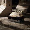圖片 NICEDAY 代購 Off-White x Air Jordan 4 Sail 白帆 女鞋 CV9388-100