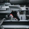 圖片 NICEDAY 代購 Air Jordan 6 Retro 黑紅 大魔王 六代 384664060