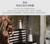 圖片 【丹麥B&O】家用藍芽喇叭 Beosound 1 星鑽銀 / 璀璨金