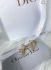 圖片 DIOR 鑲鑽CD星星 耳環