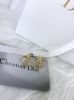 圖片 DIOR 鑲鑽CD星星 耳環