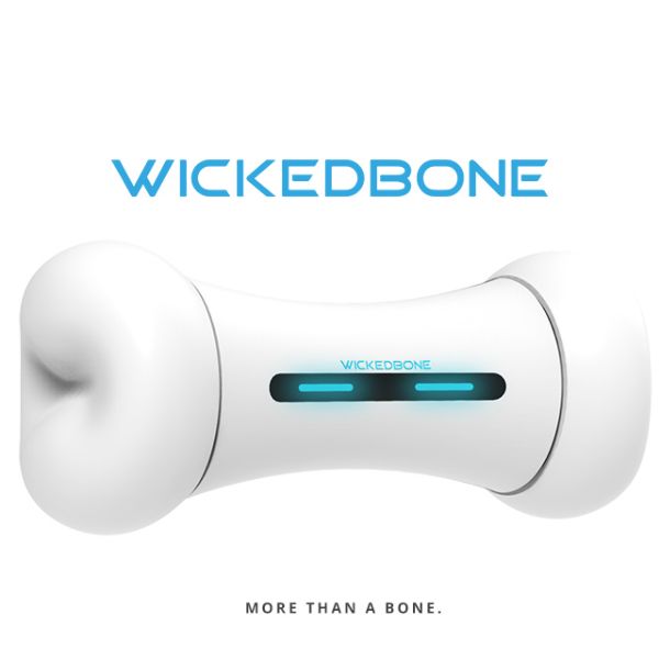 圖片 【innSelect】 WickedBone 瘋骨頭 智能寵物玩伴