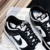 圖片 Nike Dunk Low Black 黑白 男款 女款 熊貓 DUNK  DD1503-101 / DD1391-100