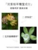 圖片 紐西之謎溫泉精萃密集修護水
