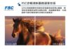 圖片 禾聯40吋電視HD-40DFSP1