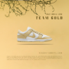 圖片 NICEDAY 現貨 Nike Dunk Low 金黃色 黃色 卡其小麥色 奶茶色 DV0833-100