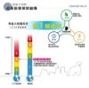 圖片 禾聯257L變頻雙門窄身電冰箱HRE-B2681V(S)