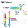 圖片 禾聯225L變頻雙門窄身電冰箱HRE-B2381V(S)
