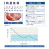 圖片 禾聯437L直立式冷凍櫃HFZ-B43B1F