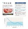 圖片 禾聯150L臥式冷凍櫃HFZ-15B2