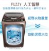 圖片 禾聯16KG 極淨變頻全自動洗衣機HWM-1621V