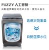 圖片 禾聯16KG全自動洗衣機HWM-1633