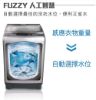圖片 禾聯15KG全自動洗衣機HWM-1533