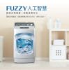 圖片 禾聯6.5公斤定頻全自動洗衣機HWM-0691