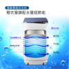 圖片 禾聯3.5KG輕巧型全自動洗衣機HWM-0452