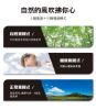 圖片 禾聯10吋3D擺頭變頻循環立扇YAF-10HG42A