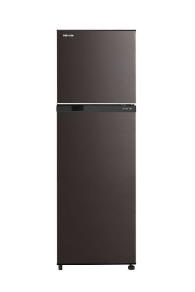 圖片 TOSHIBA 東芝 262公升 變頻電冰箱 GR-B31TP(SK)