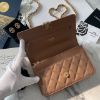 圖片 CHANEL 22K 奶茶色手提WOC