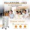 圖片 禾聯9片葉片式智能恆溫葉片式電暖器HOH-15CR96Y