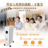 圖片 禾聯WIFI電子恆溫9葉片式電暖器HOH-15CR92W