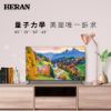 圖片 禾聯43吋4K連網液晶顯示器 HD-43QSF91  
