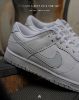 圖片 【APAIR】預購 NIKE DUNK LOW WHITE PURE PLATINUM 淺白灰 DV0831-101