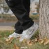 圖片 NIKE DUNK Retro "Grey White" 反轉 北極灰