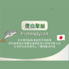 圖片 【穩基力®】樂齡銀髮族7大營養補充成分 日本雙胜肽 打造生活行動力 Sacroment (14包入/盒)