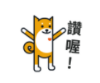 test03